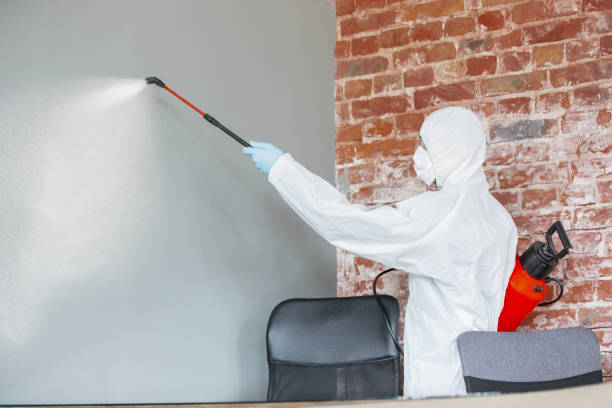Best Crawl Space Mold Remediation  in Marion, WI