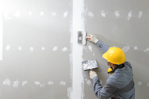 Best Dehumidification Services  in Marion, WI