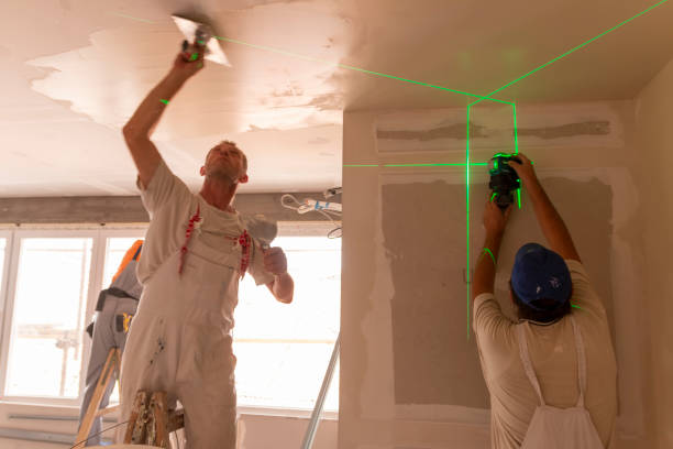 Best Mold Remediation for Healthcare Facilities  in Marion, WI